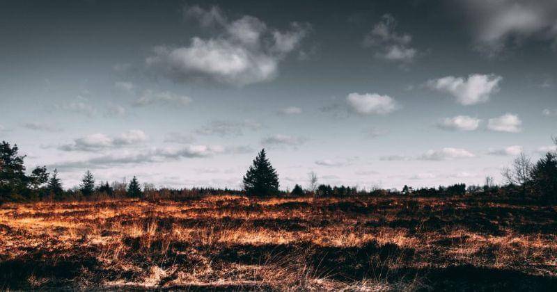 Pexels/MatthisVolquardsen